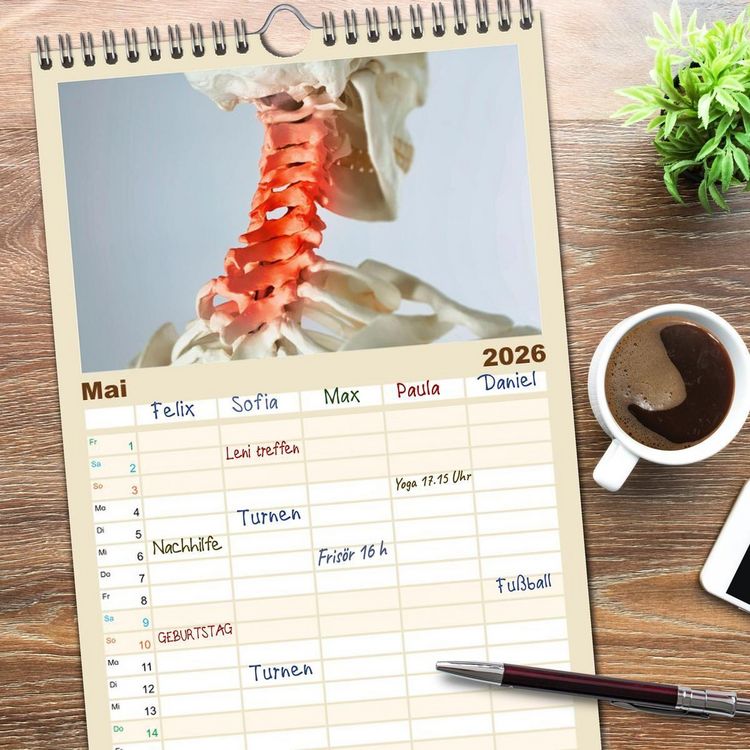 Produktbild: Familienplaner 2026 - Chiropraktik - mit den H&auml;nden behandeln mit 5 Spalten (Wandkalender, 21 x 45 cm) CALVENDO