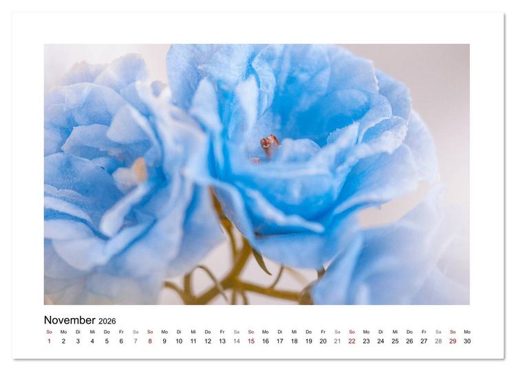 Produktbild: Blauer Bl&uuml;tentraum (Tischkalender 2026 DIN A5 quer), CALVENDO Monatskalender