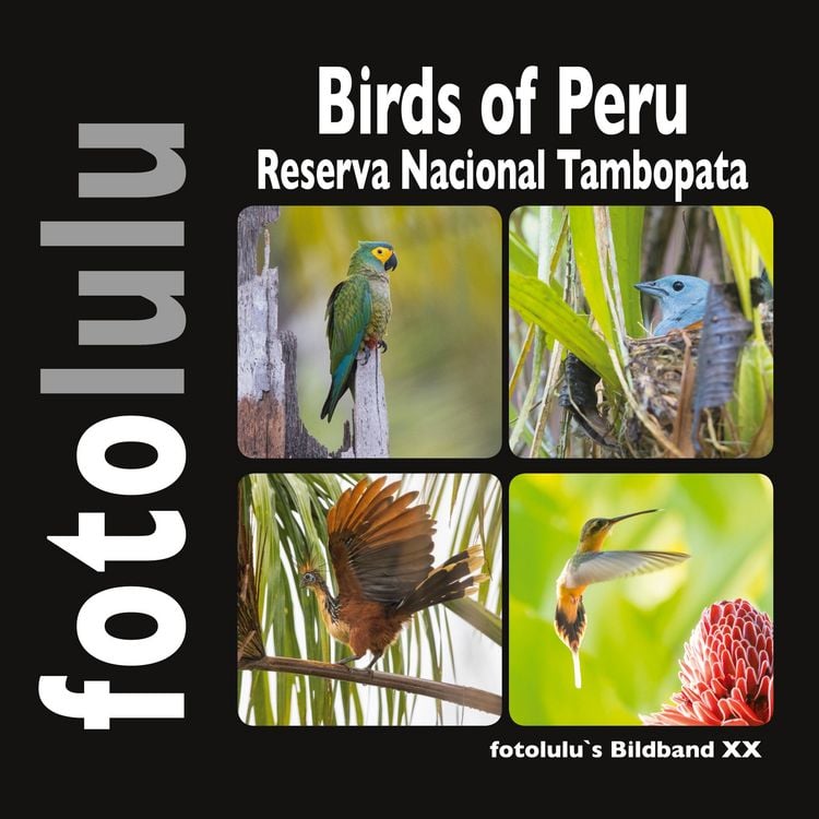 Produktbild: Birds of Peru