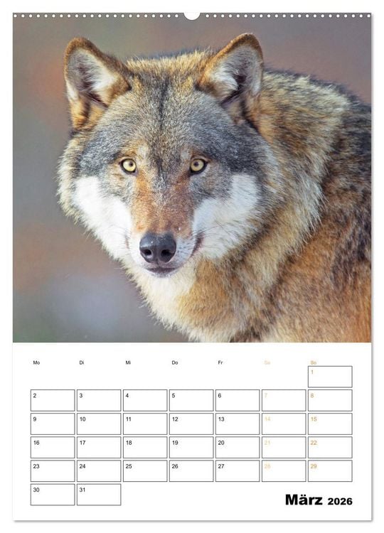 Produktbild: Wilde Tiere: Zuhause in Wald und Flur (hochwertiger Premium Wandkalender 2026 DIN A2 hoch), Kunstdruck in Hochglanz