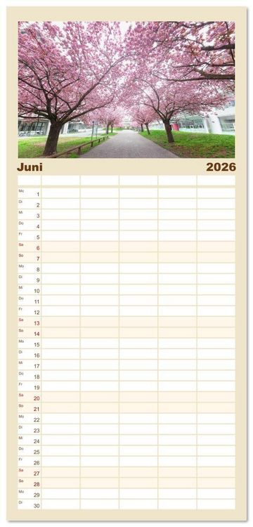 Produktbild: Familienplaner 2026 - Heidelberg im Fokus mit 5 Spalten (Wandkalender, 21 x 45 cm) CALVENDO