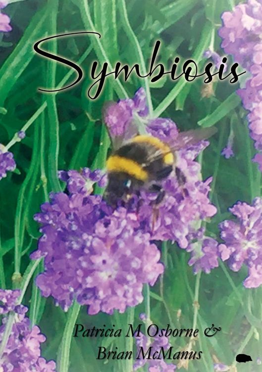 Produktbild: Symbiosis