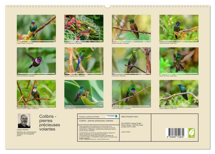 Produktbild: Colibris - pierres pr&eacute;cieuses volantes (Calendrier mural haut de gamme 2027 DIN A2 vertical), CALVENDO calendrier mensuel