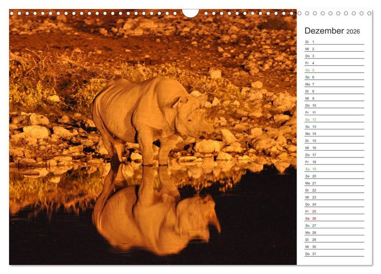 Produktbild: Nash&ouml;rner - Sanfte Riesen (Wandkalender 2026 DIN A3 quer), CALVENDO Monatskalender