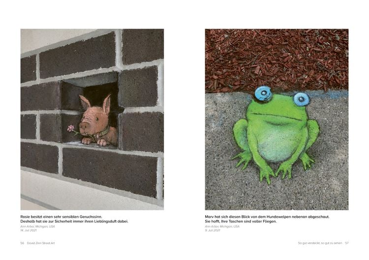 Produktbild: David Zinn. Street Art