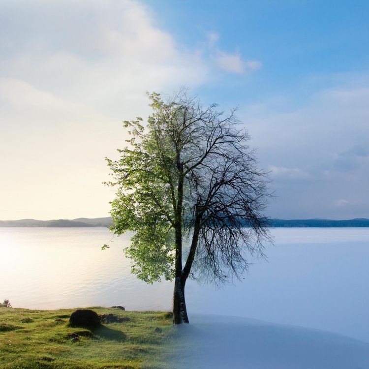 Produktbild: Seasons