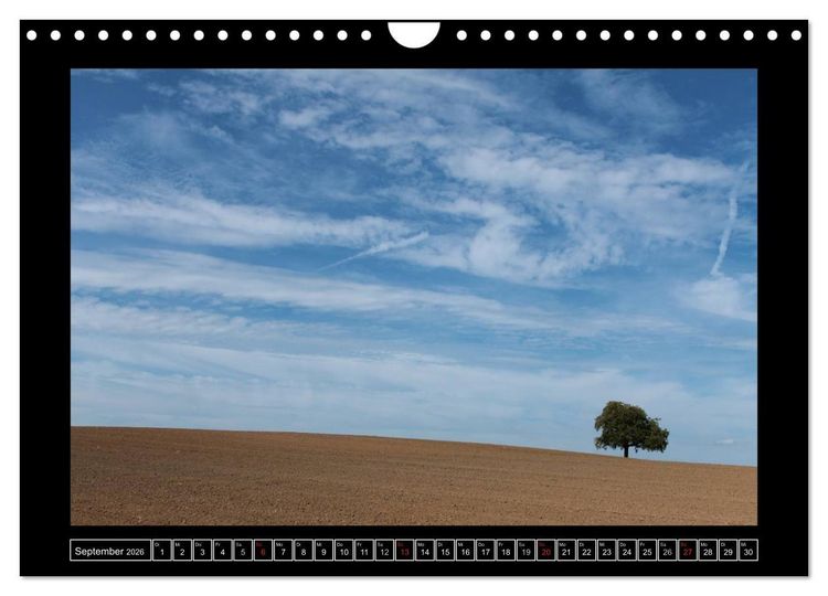 Produktbild: Odenwald - Landschaft sehen (Wandkalender 2026 DIN A4 quer), CALVENDO Monatskalender