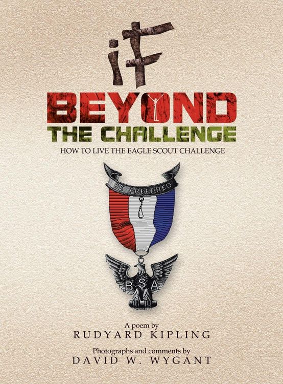 Produktbild: IF - Beyond the Challenge