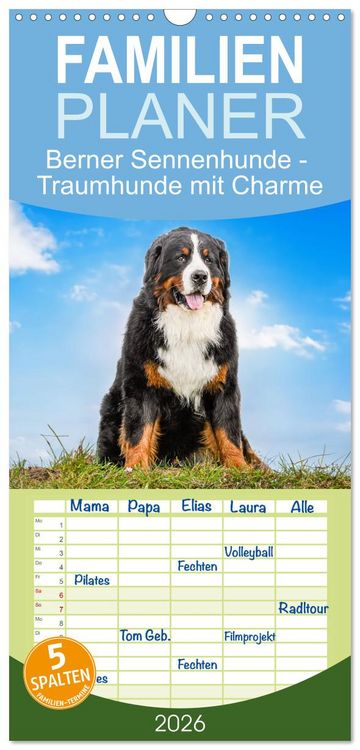 Produktbild: Familienplaner 2026 - Berner Sennenhunde - Traumhunde mit Charme mit 5 Spalten (Wandkalender, 21 x 45 cm) CALVENDO