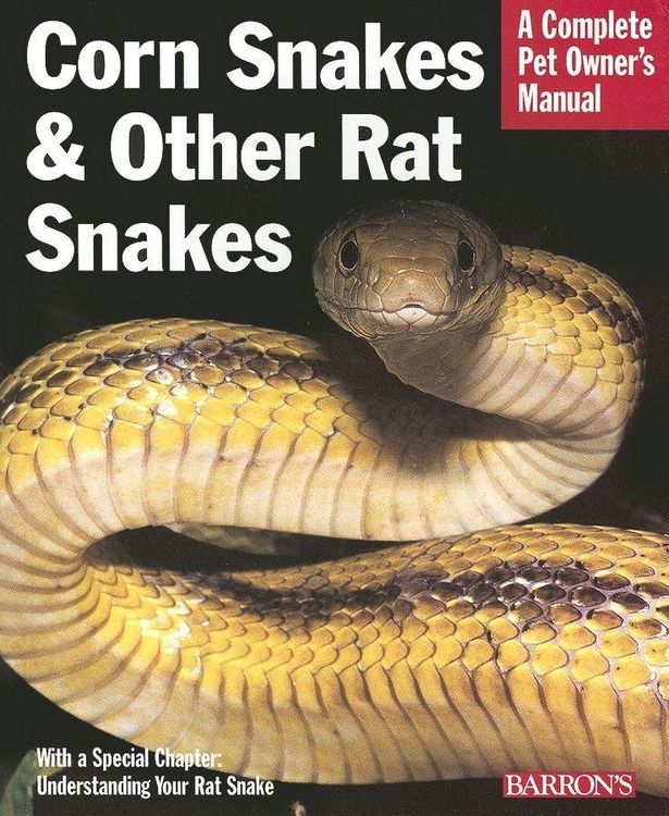 Produktbild: Corn Snakes and Other Rat Snakes