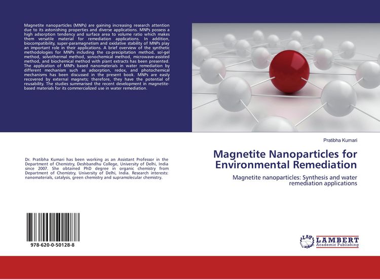 Produktbild: Magnetite Nanoparticles for Environmental Remediation