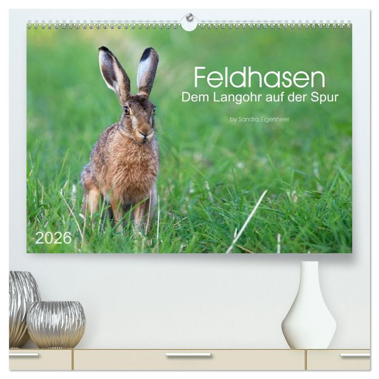 Produktbild: Feldhasen - dem Langohr auf der Spur (hochwertiger Premium Wandkalender 2026 DIN A2 quer), Kunstdruck in Hochglanz