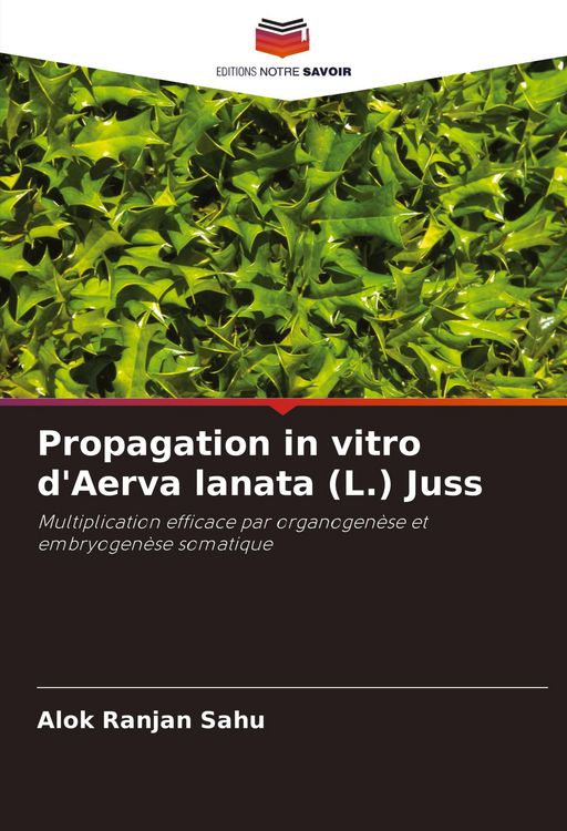 Produktbild: Propagation in vitro d'Aerva lanata (L.) Juss