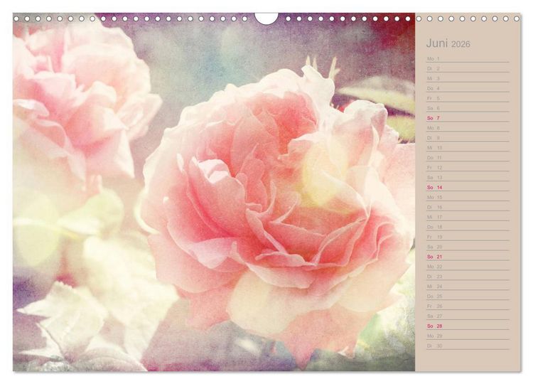 Produktbild: Romantische Rosen (Wandkalender 2026 DIN A3 quer), CALVENDO Monatskalender