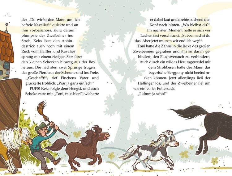 Produktbild: Die Haferhorde - Mit allen Ponywassern gewaschen