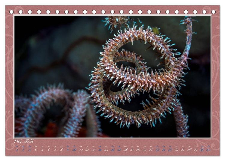 Produktbild: Unterwasser Kunstwerke (Tischkalender 2026 DIN A5 quer), CALVENDO Monatskalender