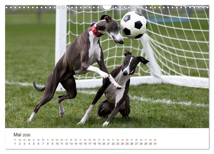 Produktbild: Funny Greyhounds - Windhunde mal anders (Wandkalender 2026 DIN A3 quer), CALVENDO Monatskalender