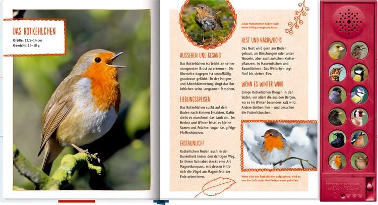 Produktbild: V&ouml;gel in unserem Garten