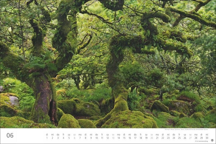 Produktbild: Wunderwelt Wald 2027
