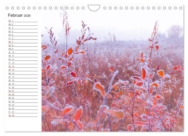 Produktbild: Worpswede - Natursch&ouml;nheiten im Teufelsmoor (Wandkalender 2026 DIN A4 quer), CALVENDO Monatskalender