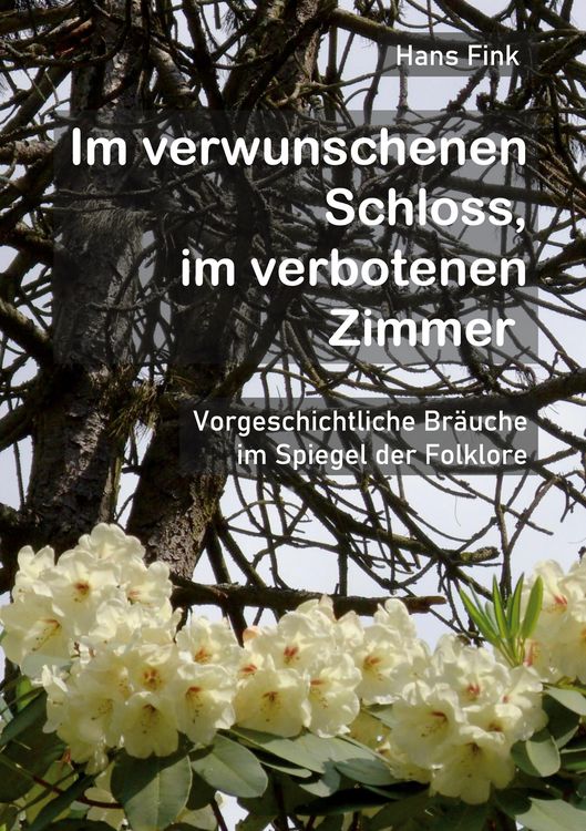 Produktbild: Im verwunschenen Schloss, im verbotenen Zimmer