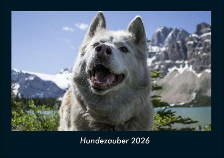 Produktbild: Hundezauber 2026 Fotokalender DIN A4