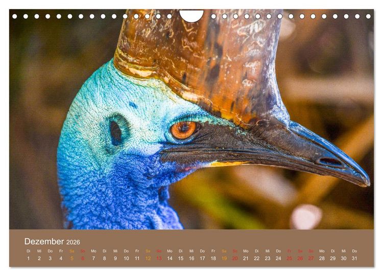 Produktbild: Australien, tierischer Kontinent (Wandkalender 2026 DIN A4 quer), CALVENDO Monatskalender