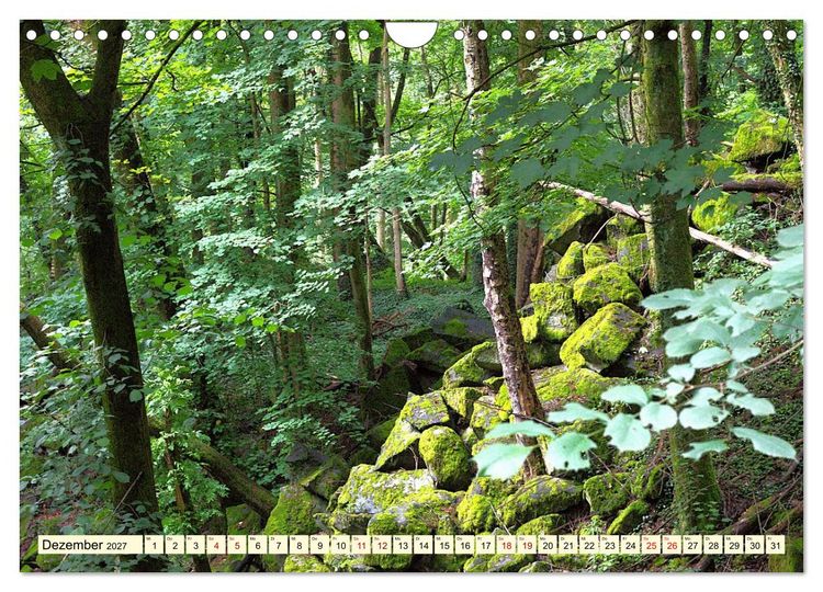 Produktbild: Natur und Architektur im Odenwald (Wandkalender 2027 DIN A4 quer), CALVENDO Monatskalender