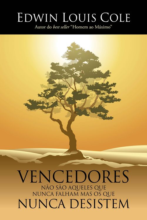Produktbild: Vencedores n&atilde;o s&atilde;o aqueles que nunca falham mas os que nunca desistem