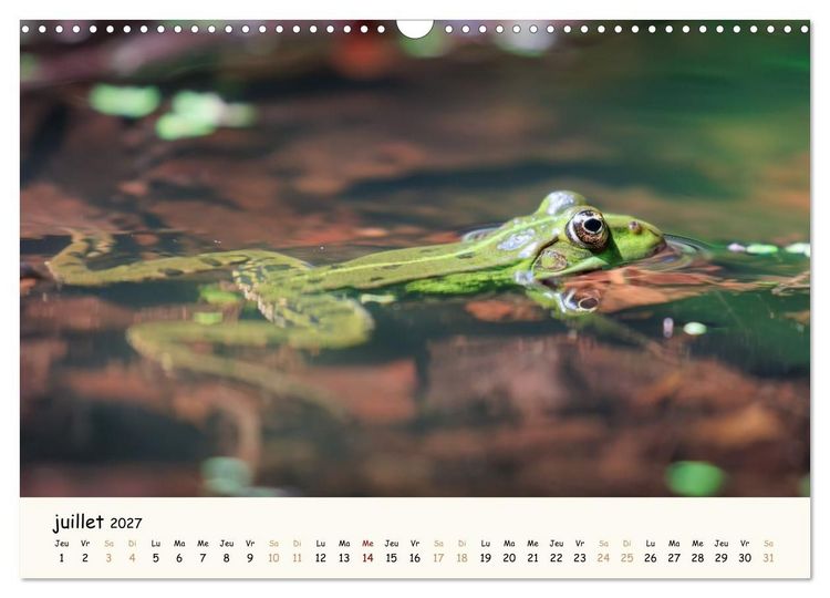 Produktbild: Les voisins du jardin - Une ann&eacute;e de rencontres (Calendrier mural 2027 DIN A3 vertical), CALVENDO calendrier mensuel