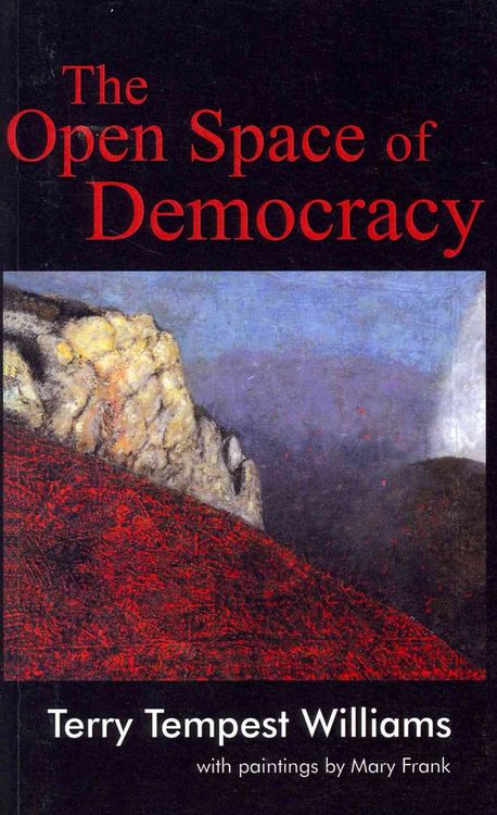 Produktbild: The Open Space of Democracy