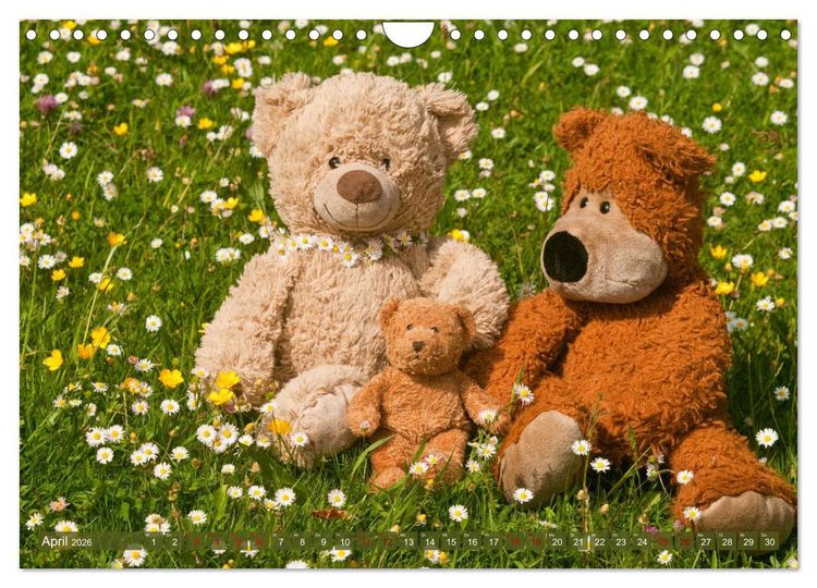 Produktbild: Kunterbunte B&auml;renwelt - Teddys (Wandkalender 2026 DIN A4 quer), CALVENDO Monatskalender