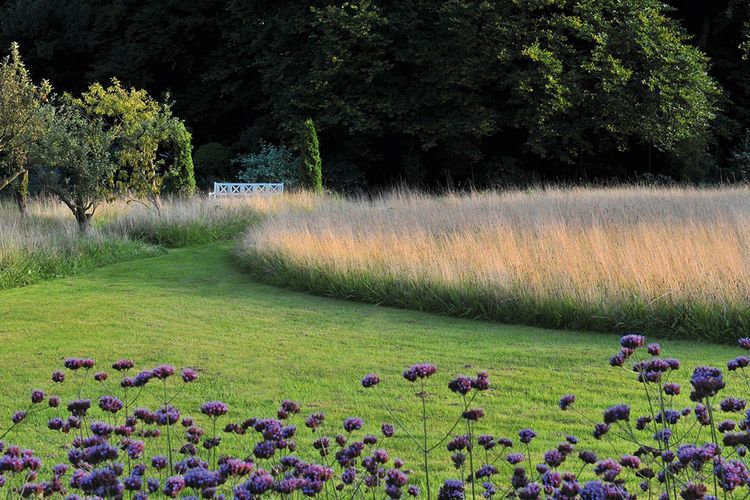 Produktbild: Meine Vision wird Garten