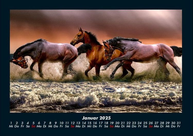 Produktbild: Pferde Kalender 2025 Fotokalender DIN A4