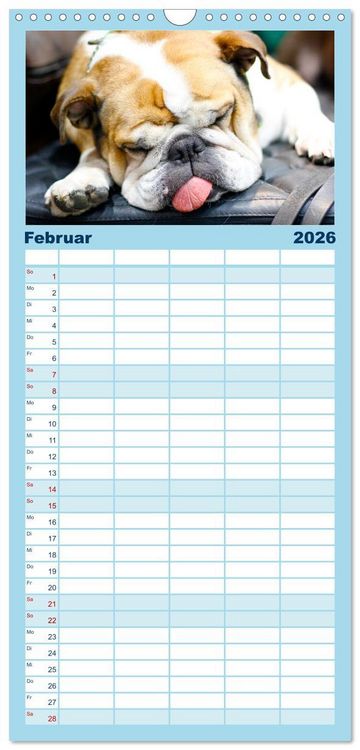 Produktbild: Familienplaner 2026 - Witzige Fellnasen mit 5 Spalten (Wandkalender, 21 x 45 cm) CALVENDO