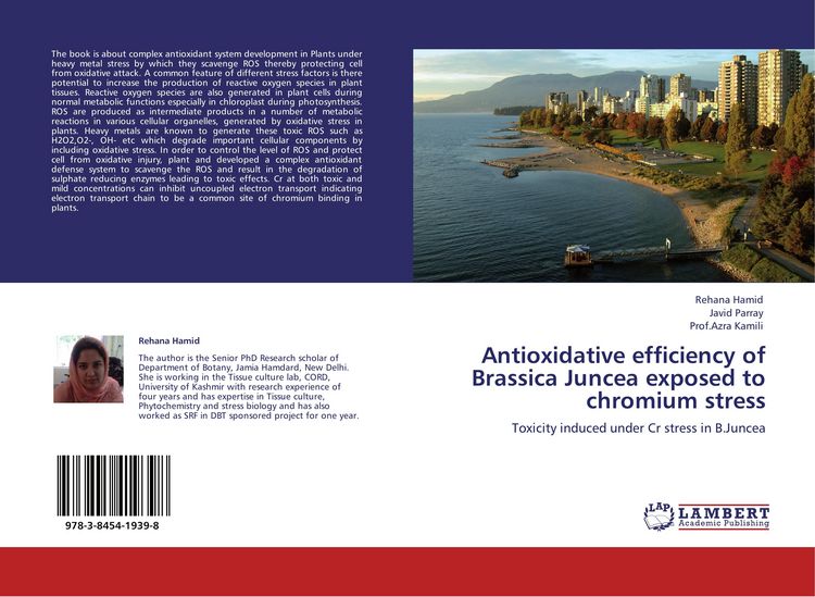 Produktbild: Antioxidative efficiency of Brassica Juncea exposed to chromium stress