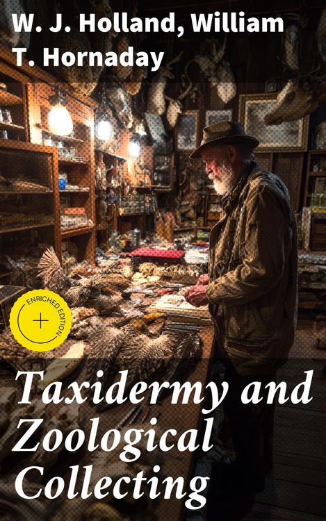 Produktbild: Taxidermy and Zoological Collecting