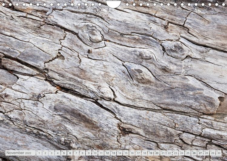 Produktbild: Am Strand - Fundst&uuml;cke und Kunstwerke (Wandkalender 2022 DIN A4 quer)