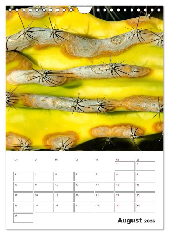 Produktbild: Dornige Sch&ouml;nheiten - Kakteen und Sukkulenten (Wandkalender 2026 DIN A4 hoch), CALVENDO Monatskalender