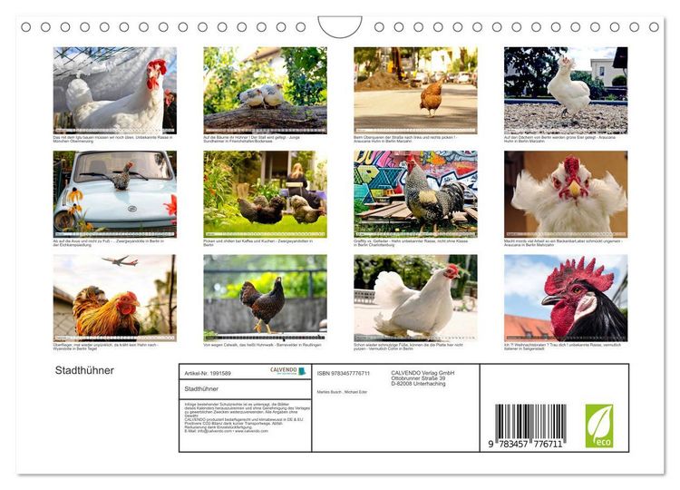 Produktbild: Stadth&uuml;hner (Wandkalender 2026 DIN A4 quer), CALVENDO Monatskalender