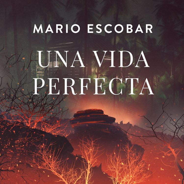 Produktbild: Una vida perfecta