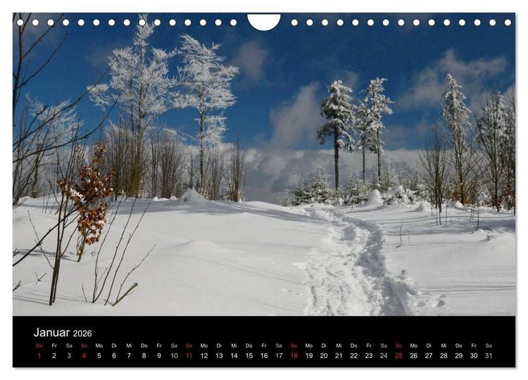 Produktbild: Zauberhafter Bayerischer Wald (Wandkalender 2026 DIN A4 quer), CALVENDO Monatskalender