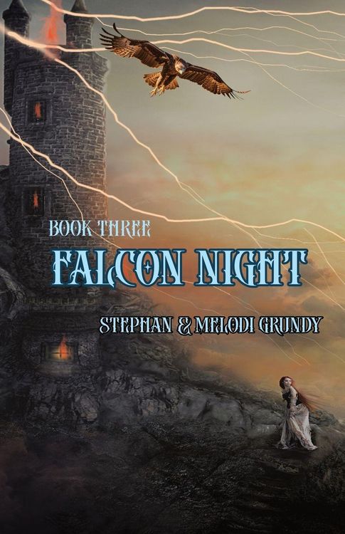 Produktbild: Falcon Night