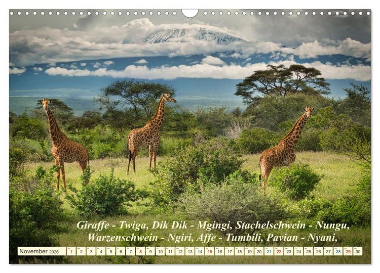 Produktbild: Jambo Kenya (Wandkalender 2026 DIN A3 quer), CALVENDO Monatskalender