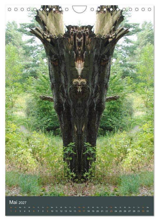 Produktbild: Spiegelwelten - Botschaften der Naturwesen (Wandkalender 2027 DIN A4 hoch), CALVENDO Monatskalender