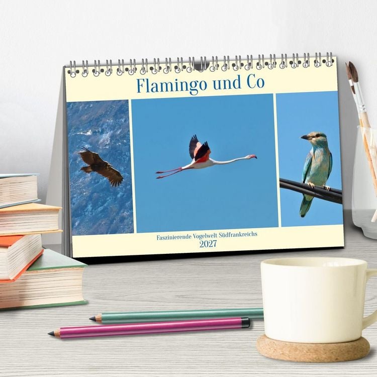 Produktbild: Flamingo und Co - Faszinierende Vogelwelt S&uuml;dfrankreichs (Tischkalender 2027 DIN A5 quer), CALVENDO Monatskalender