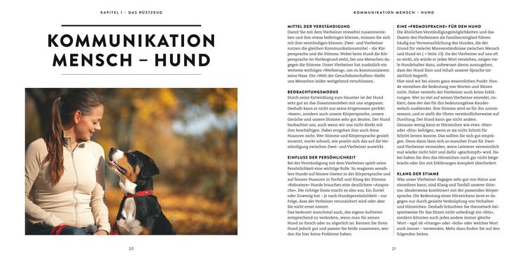 Produktbild: So einfach geht Hundeerziehung