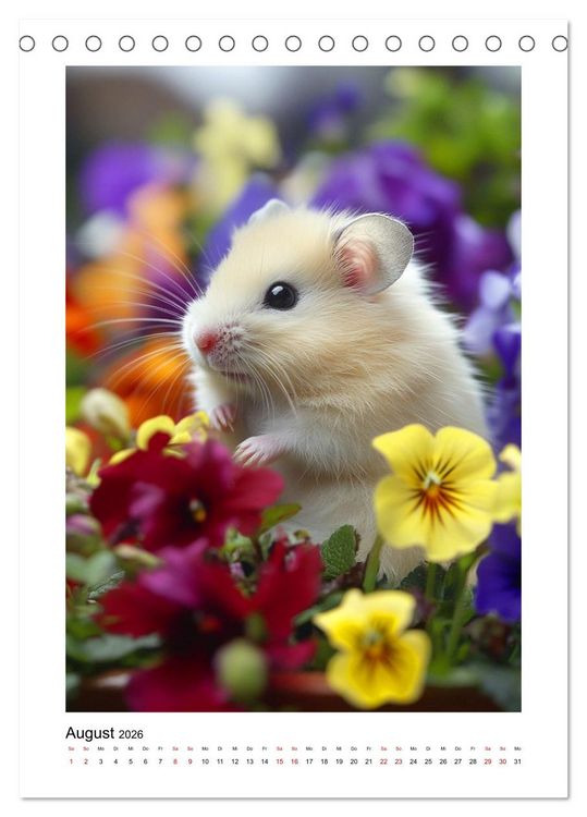 Produktbild: Goldhamster Geschichten (Tischkalender 2026 DIN A5 hoch), CALVENDO Monatskalender