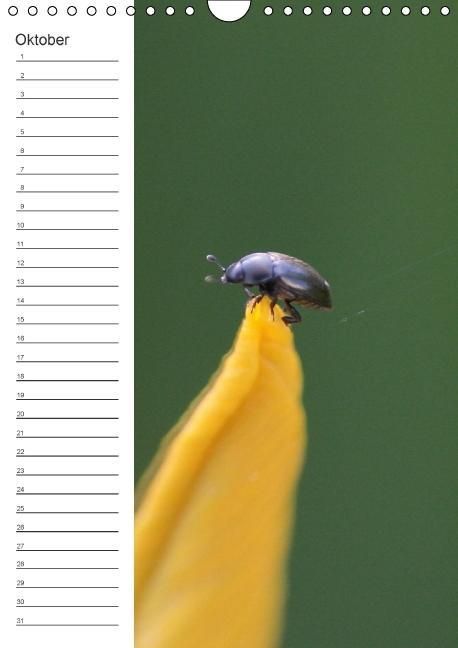 Produktbild: Tierische Kleinigkeiten / Geburtstagskalender (Wandkalender immerw&auml;hrend DIN A4 hoch)
