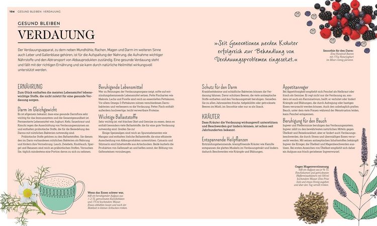 Produktbild: Die gr&uuml;ne Hausapotheke